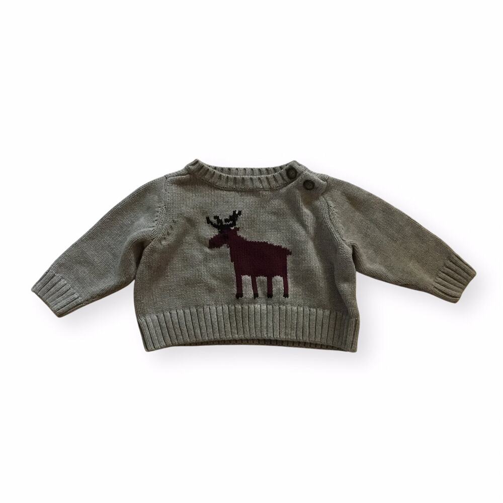 Tea Collection Moose Sweater